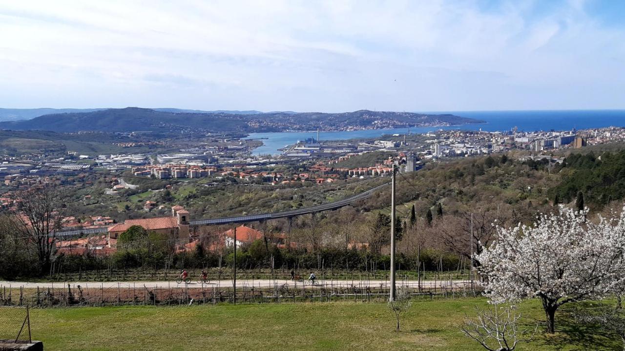 San Dorligo della Valle Bellavista Trieste المظهر الخارجي الصورة