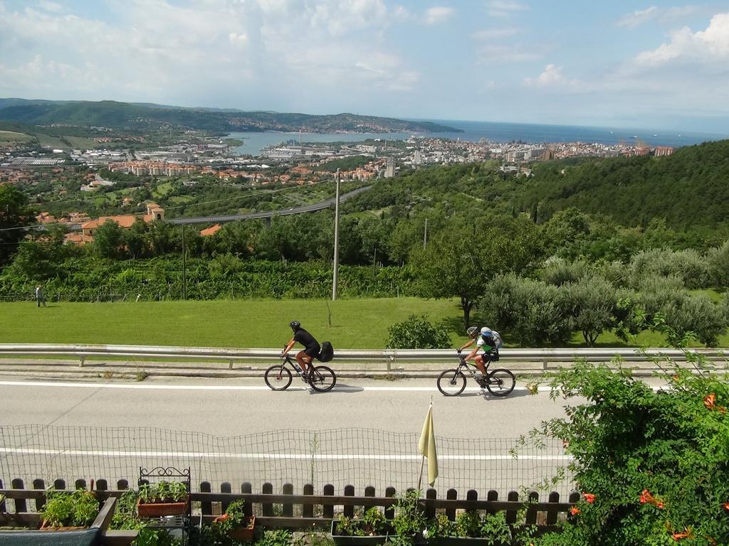 San Dorligo della Valle Bellavista Trieste المظهر الخارجي الصورة